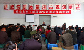 科技賦能，服務下沉——省會專家服務辛集行活動圓滿落幕